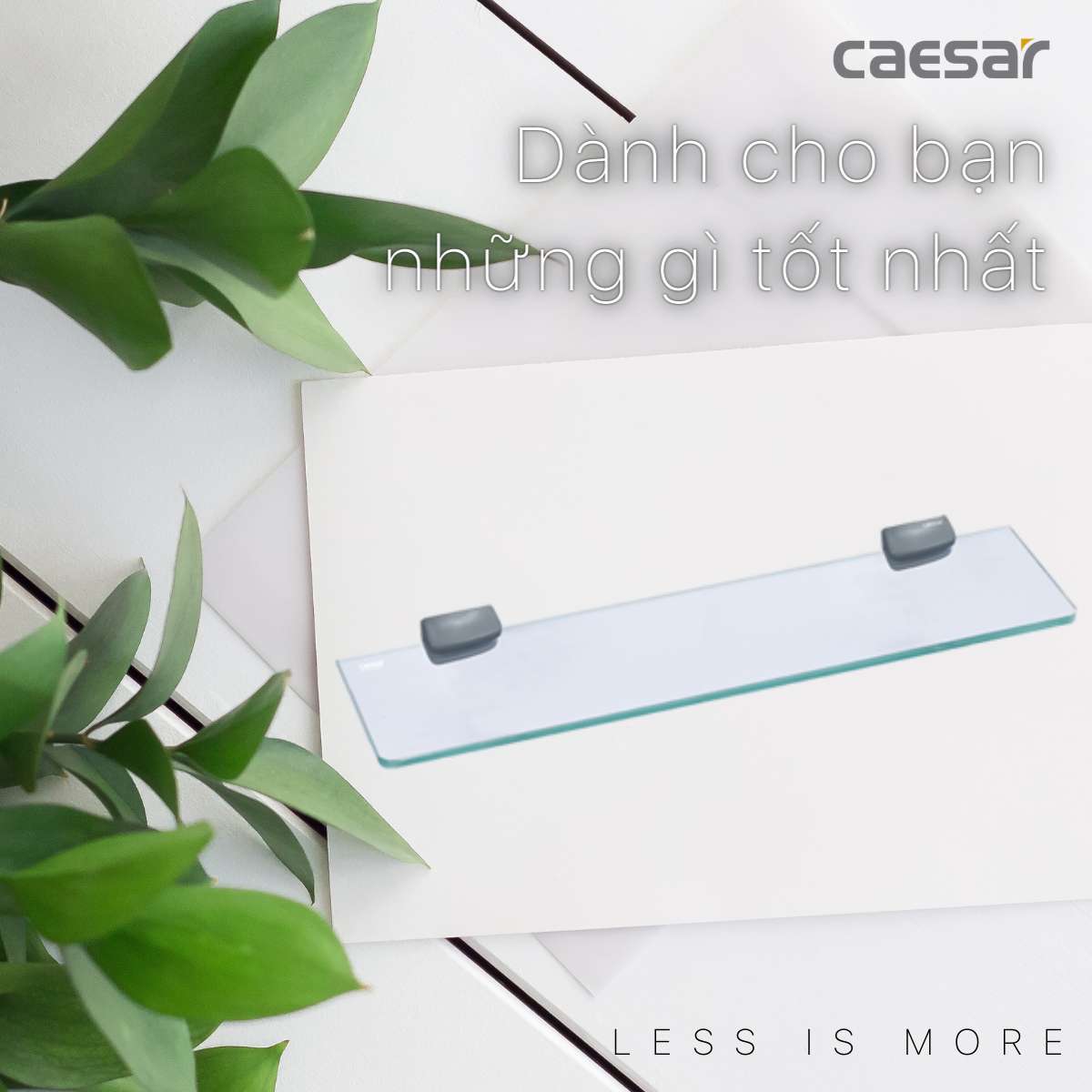 Kệ kính cường lực Caesar Q780V - 6