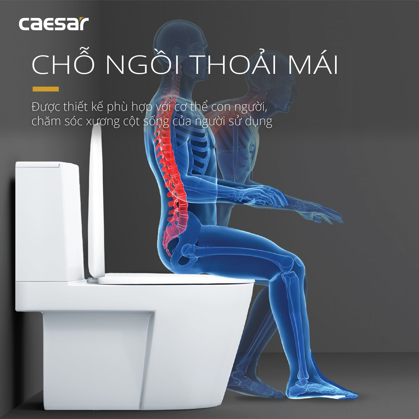 Bồn cầu 2 khối Caesar CD1345 nắp êm - 9