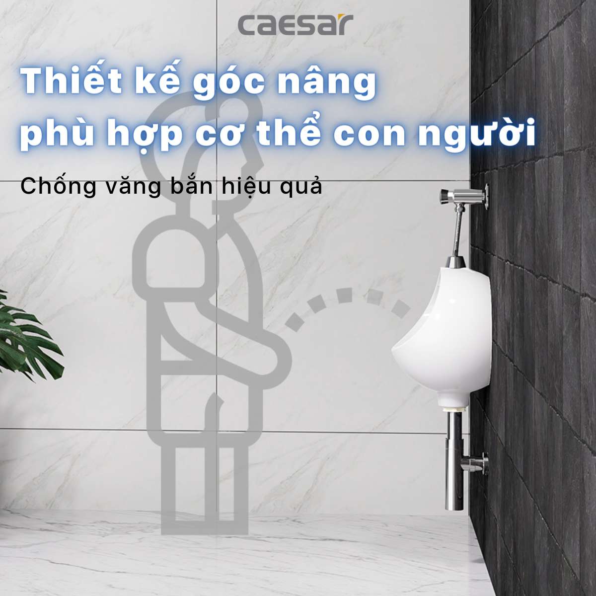 Bồn tiểu nam treo tường Caesar U0210 - 14