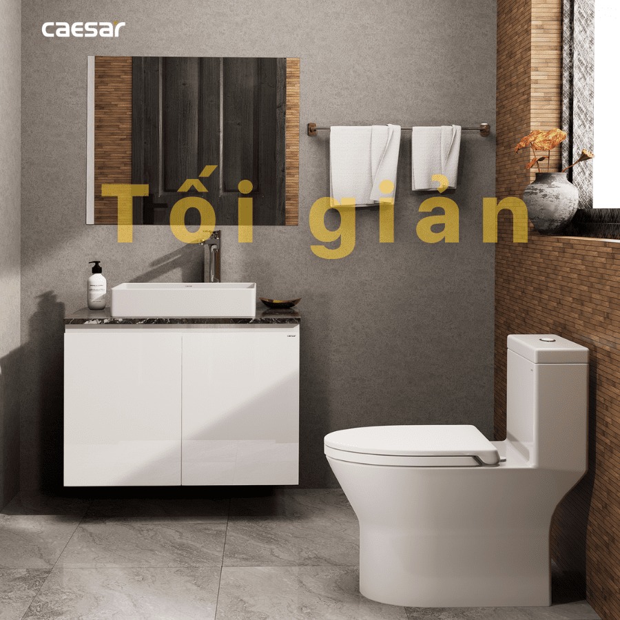 Chậu lavabo đặt bàn Caesar LF5254 - 25