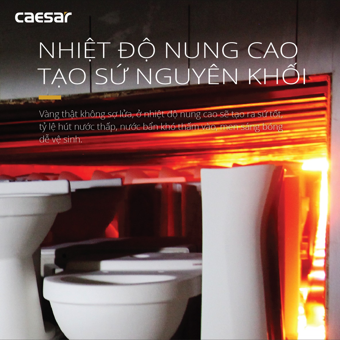 Bồn cầu 1 khối Caesar C1356 (CD1356) nắp đóng êm - 17