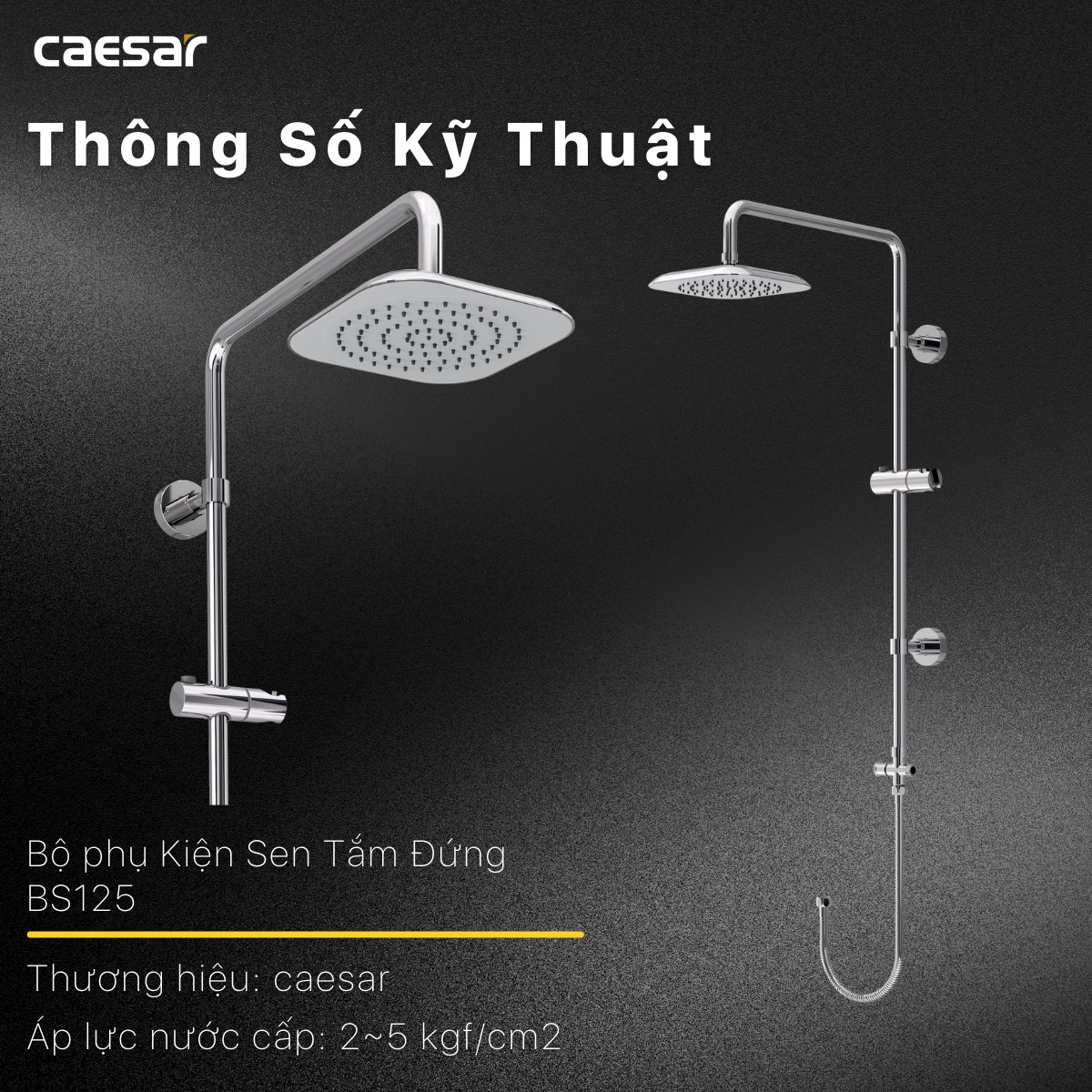 Sen cây tắm đứng Caesar BS125 - 14