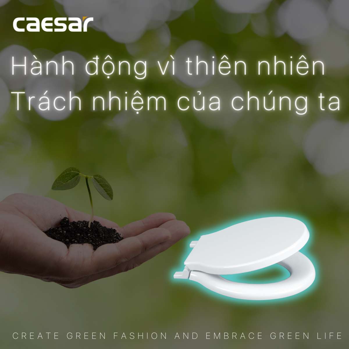 Nắp bồn cầu thường Caesar M282 - 5