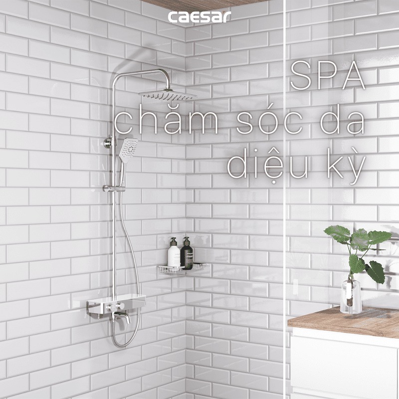 Bộ vòi sen tắm nhiệt độ Caesar TS617 - 15