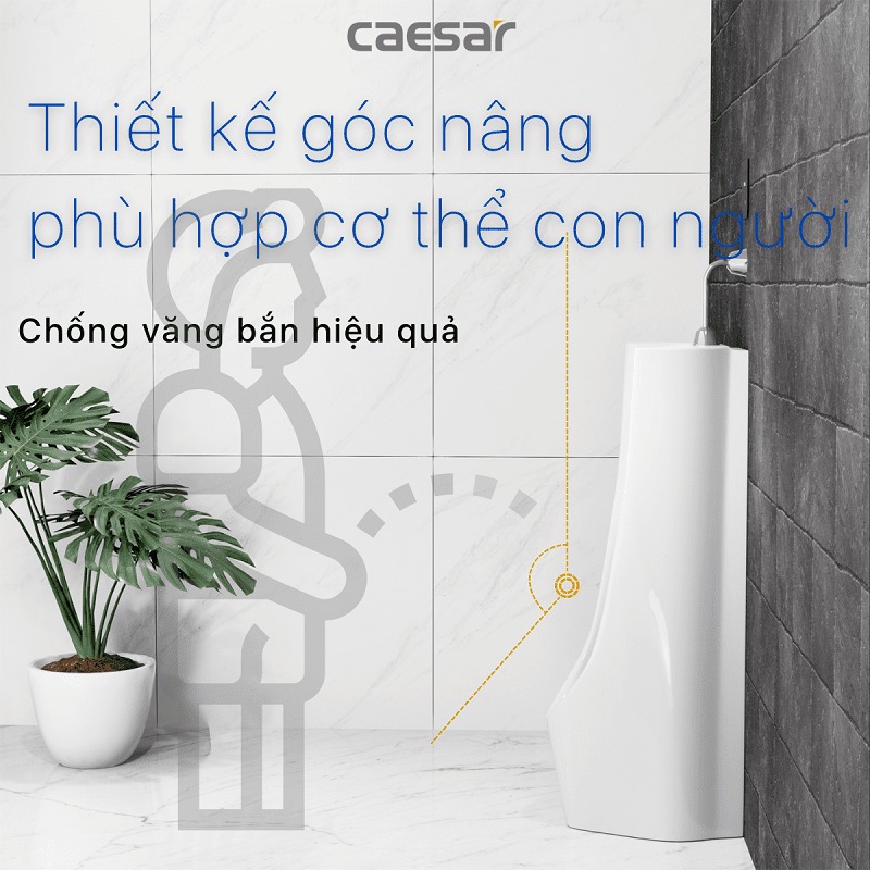 Bồn tiểu đứng thoát xuống sàn Caesar U0239 - 6