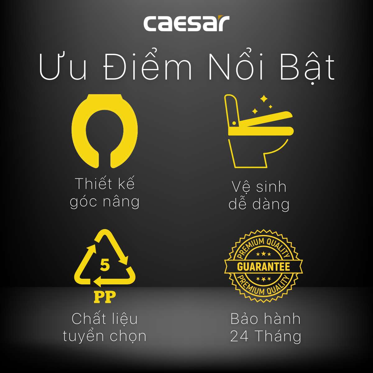Nắp bồn cầu thường Caesar M282 - 4