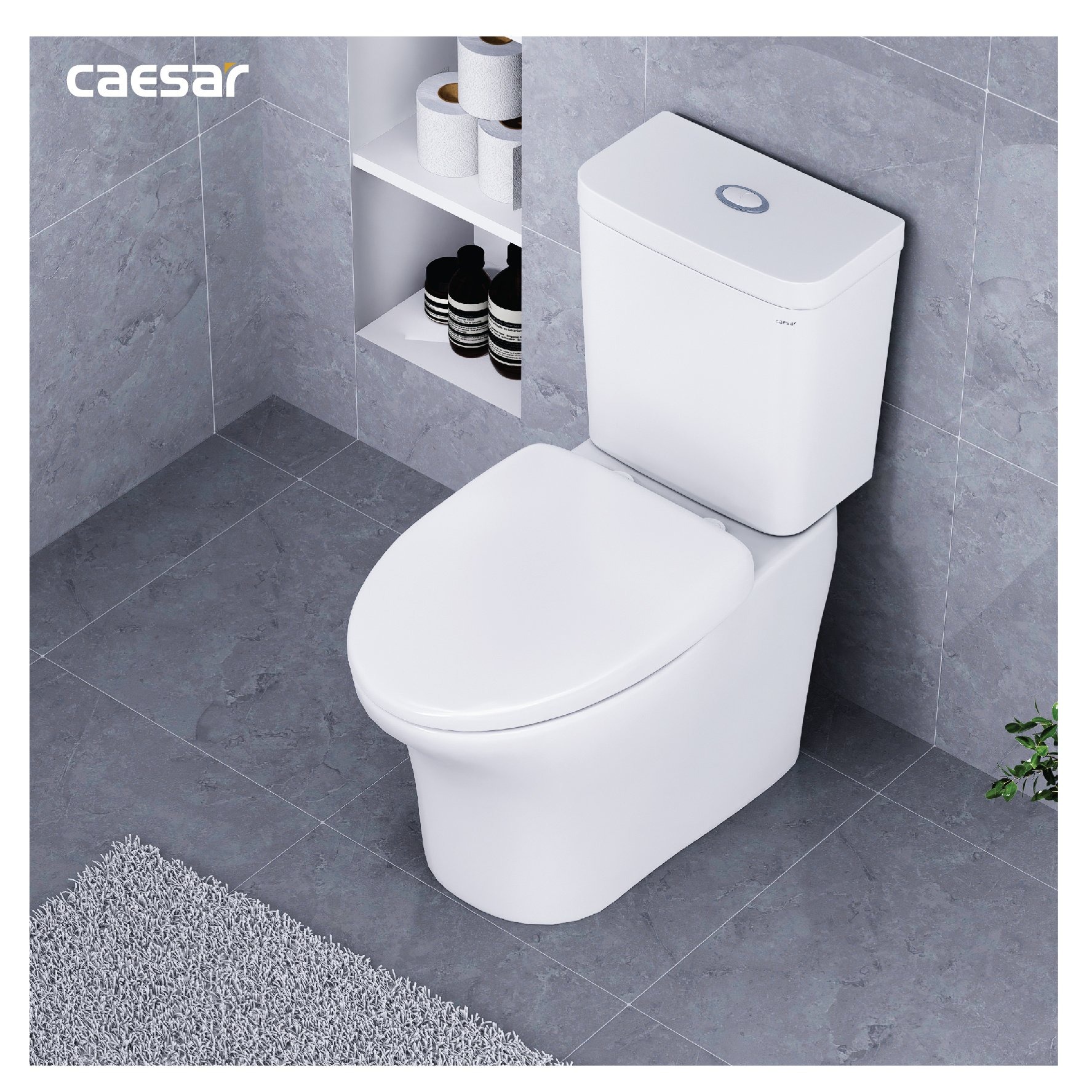 Bồn cầu 2 khối Caesar CD1341 nắp đóng êm - 12