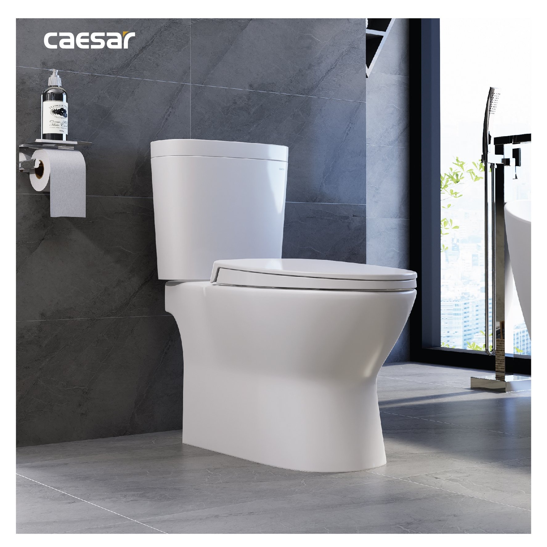 Bồn cầu 2 khối Caesar CD1320 nắp đóng êm - 17