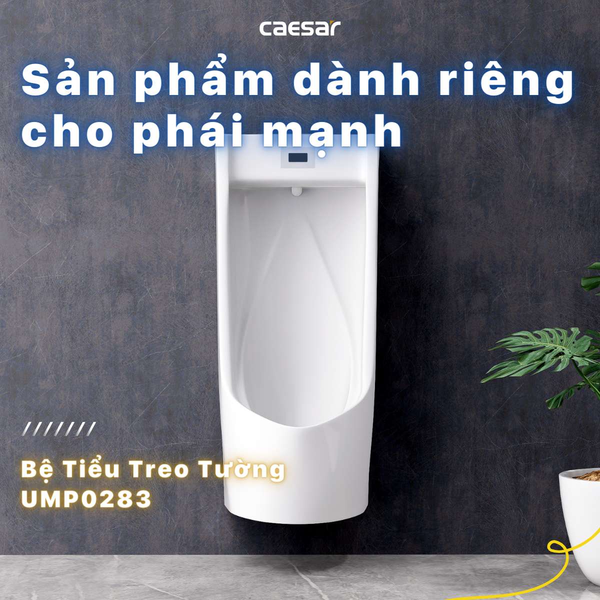 Bồn tiểu nam treo tường cảm ứng thoát ngang Caesar UMP0283 - 3