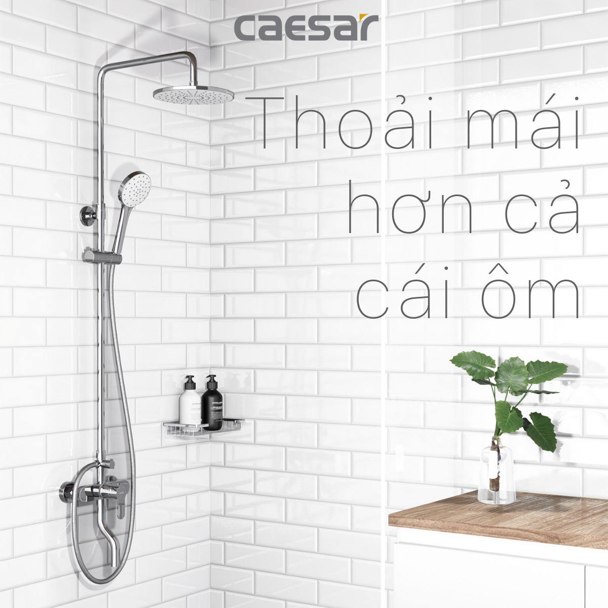 Bộ sen tắm cây nóng lạnh Caesar S338C - 17