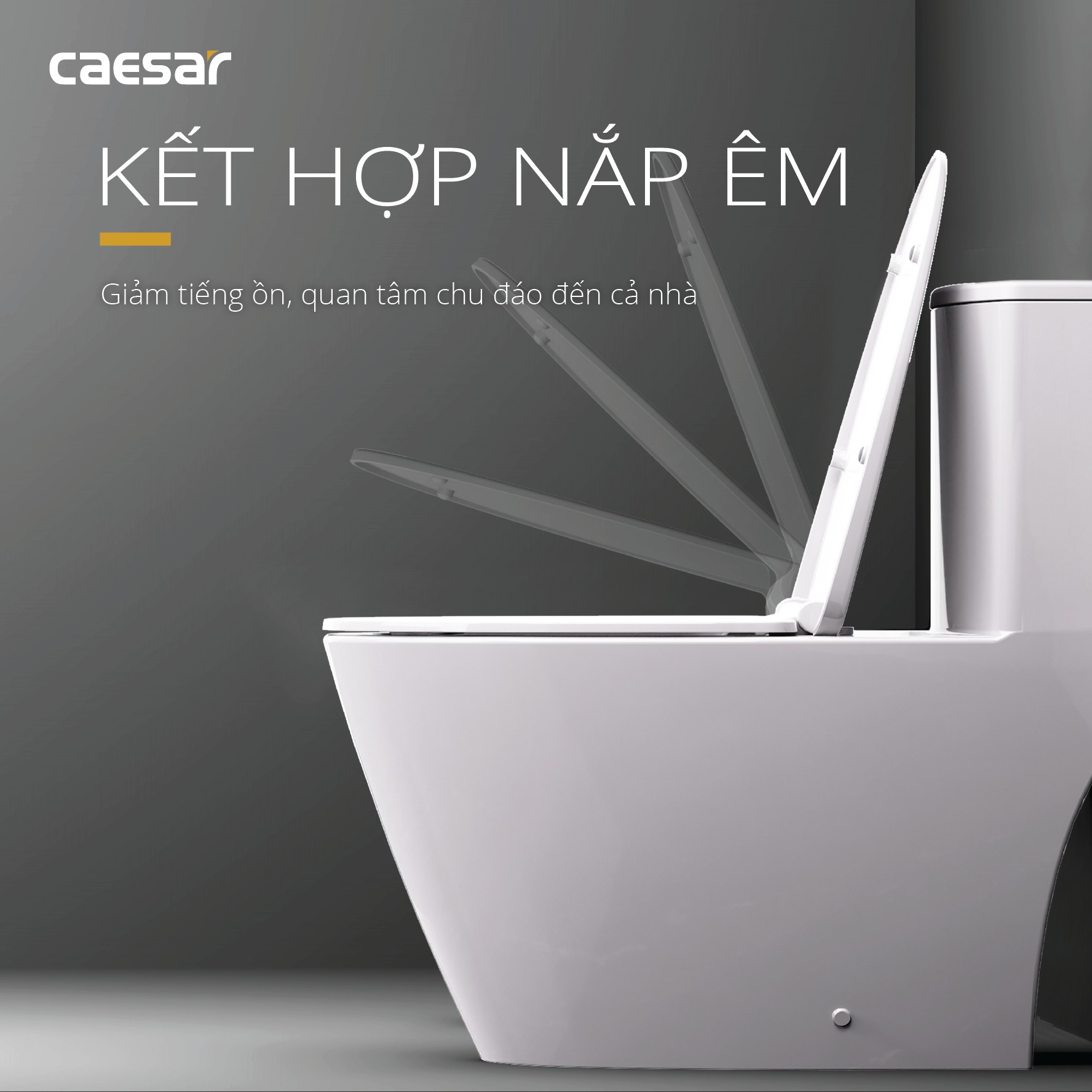 Bồn cầu 1 khối Caesar C1363 (CD1363) nắp đóng êm - 9