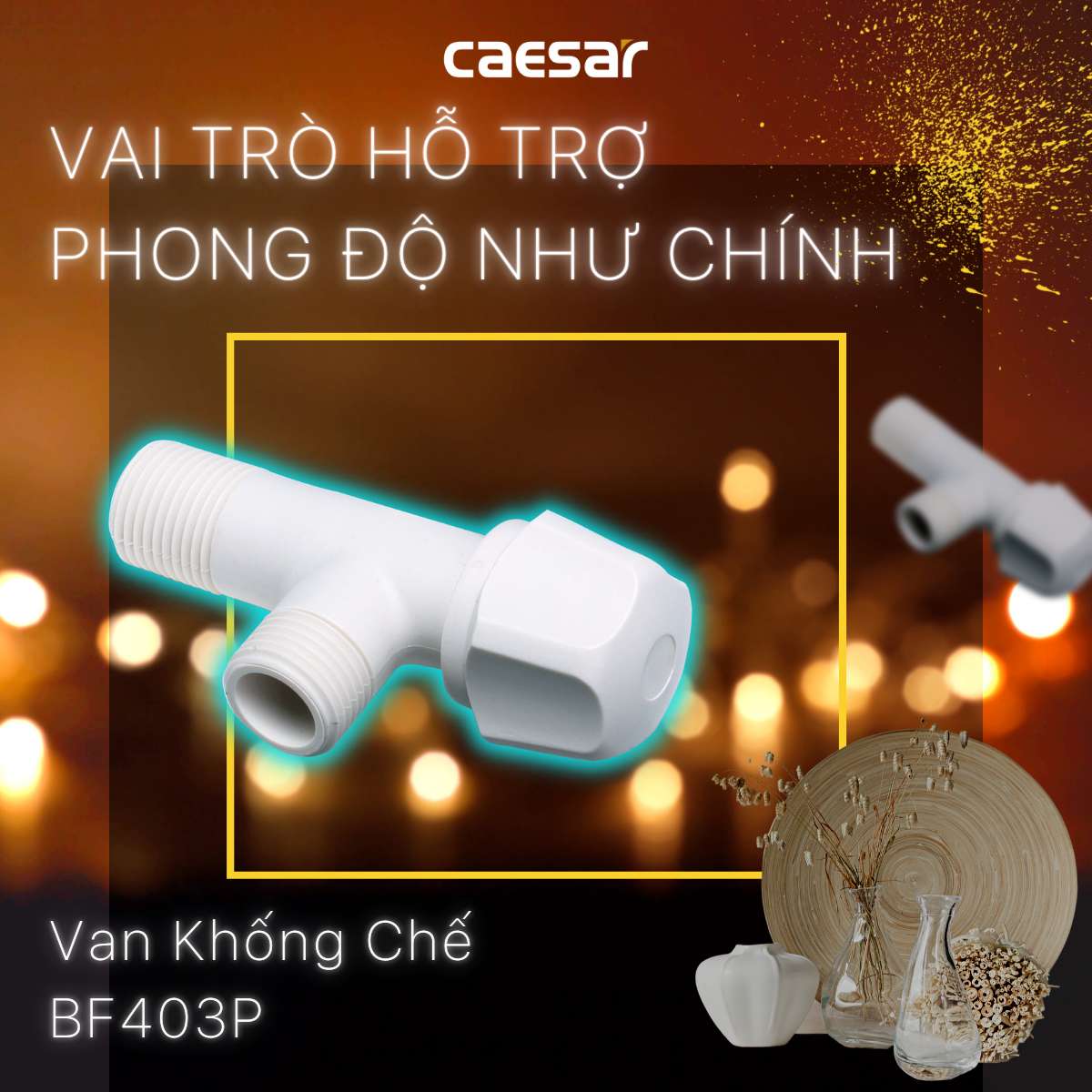 Van vặn khóa chữ F nhựa - φ21 Caesar BF403P - 2