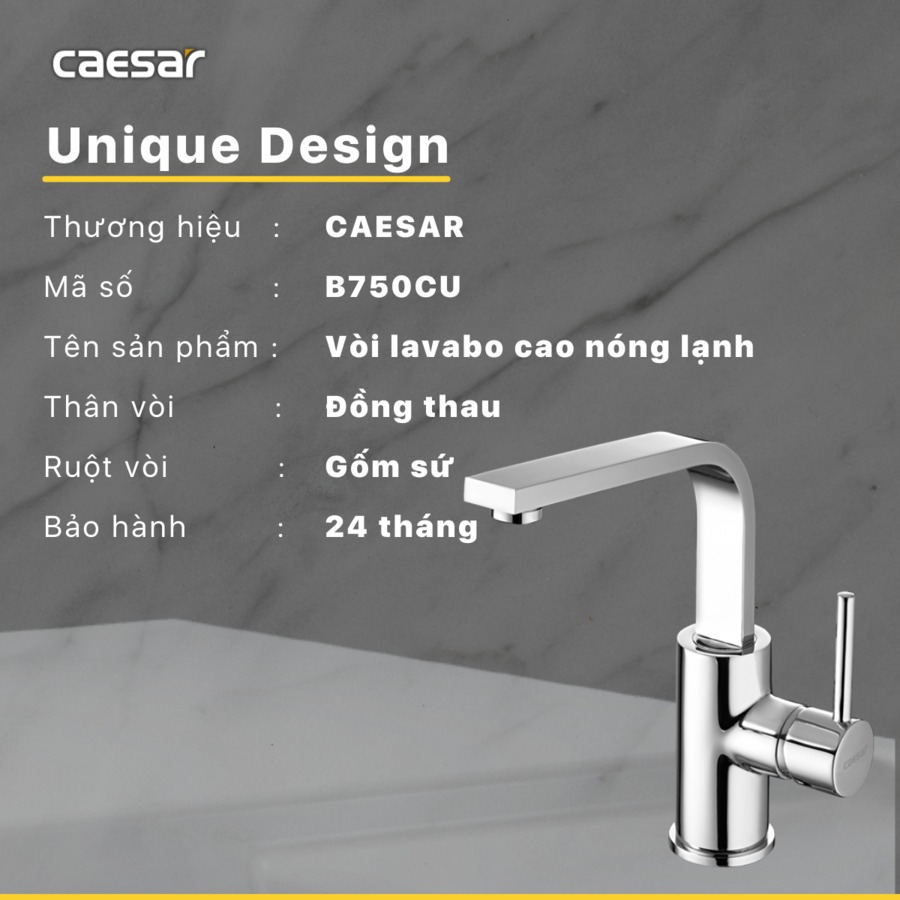 Vòi chậu lavabo nóng lạnh Caesar B750CU - 13