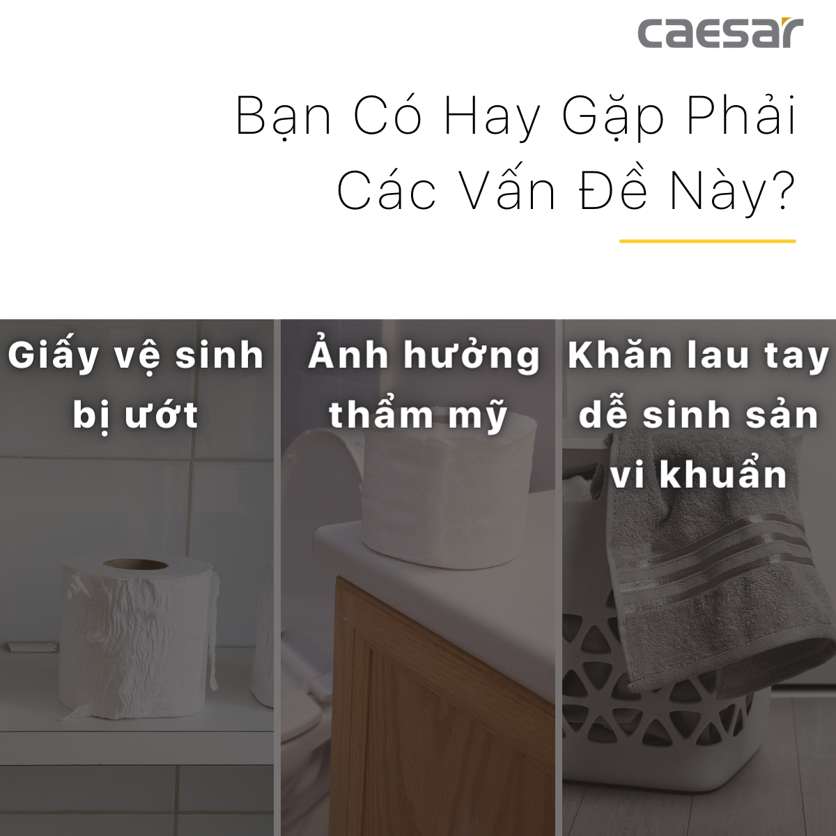 Hộp giấy vệ sinh Caesar H101 - 13