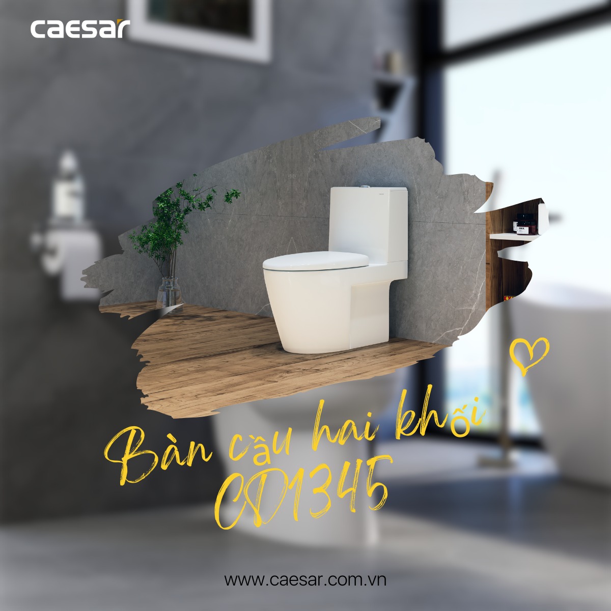 Bồn cầu 2 khối nắp rửa cơ Caesar CD1345+TAF060 - 9