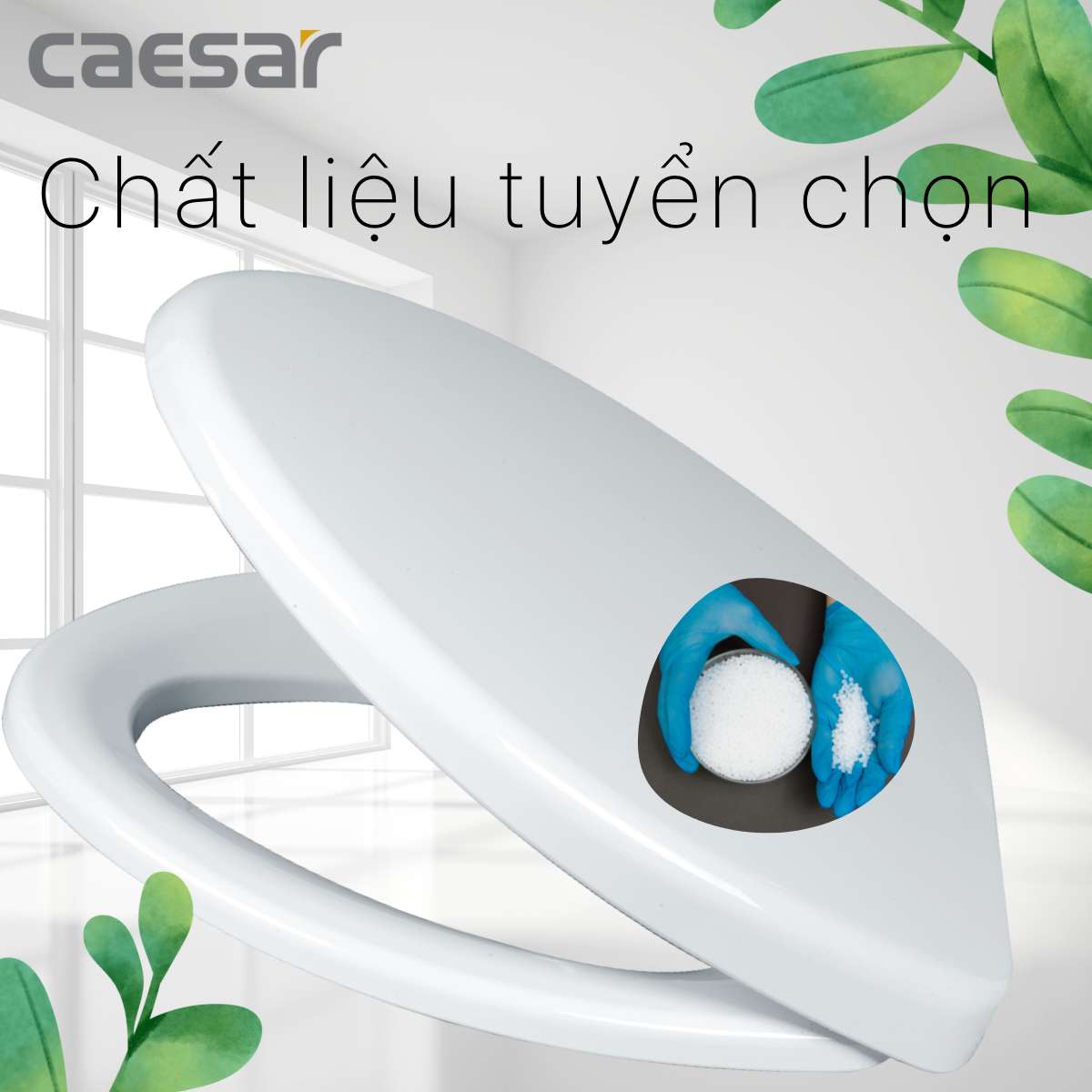 Nắp bồn cầu thường Caesar M220 - 6