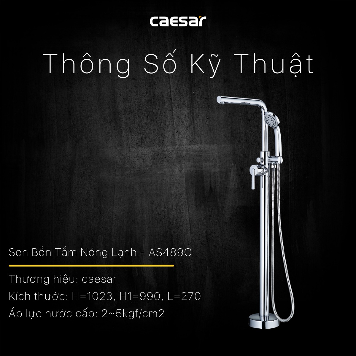 Vòi sen bồn tắm nóng lạnh Caesar AS489C - 21
