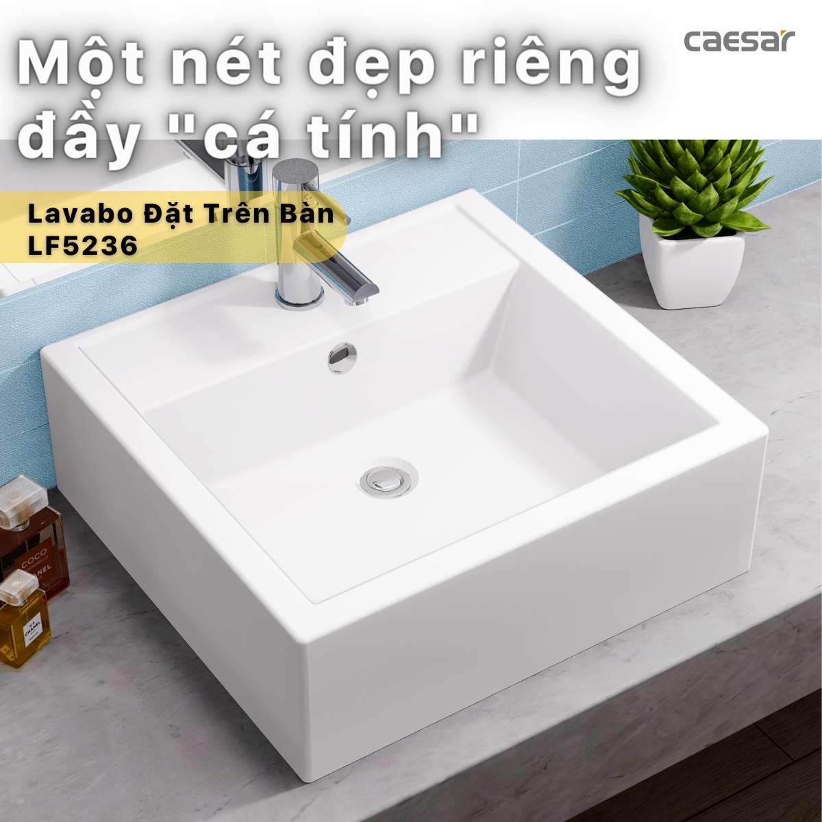 Chậu lavabo đặt bàn Caesar LF5236 - 8