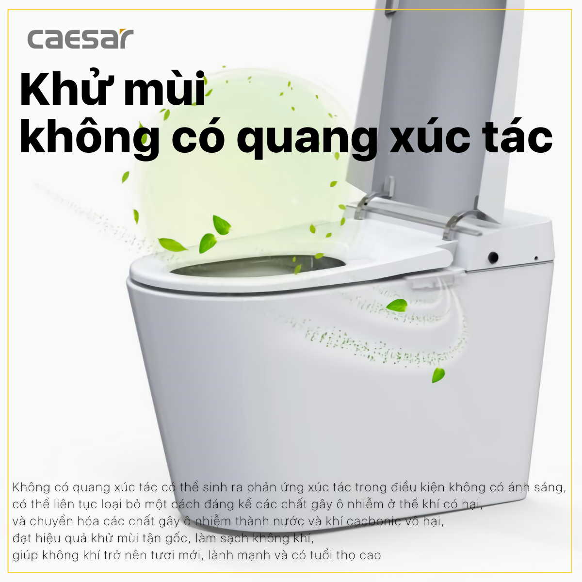 Bồn cầu điện tử thông minh Caesar CA1389H - 27