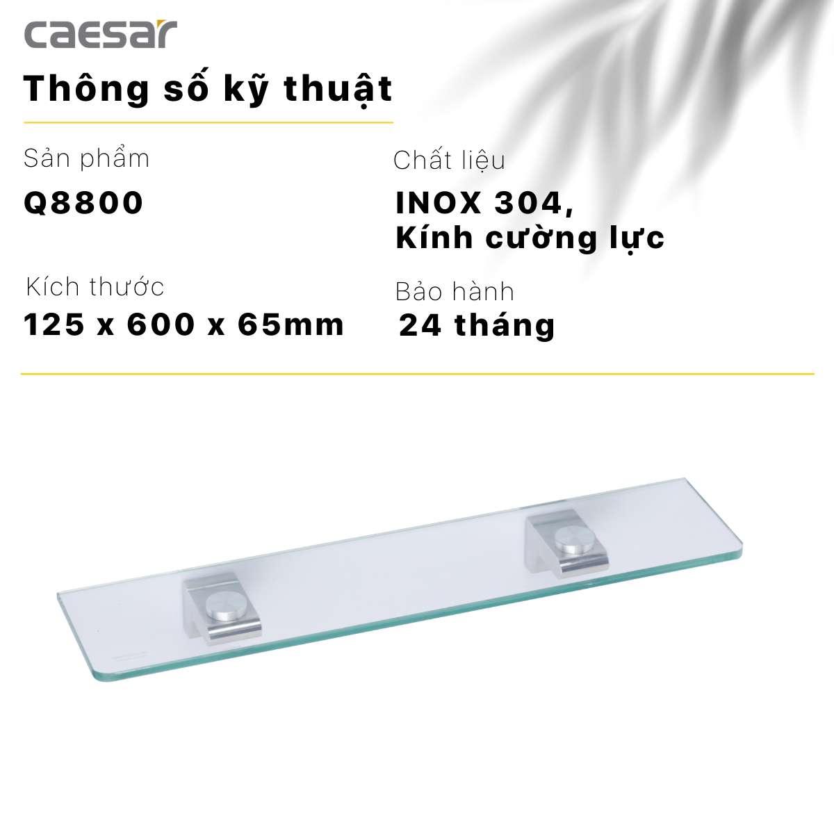 Kệ kính Caesar Q8800 - 14