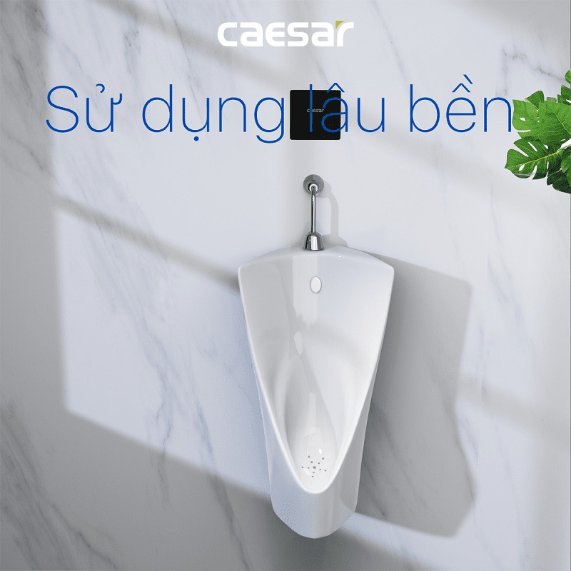 Bồn tiểu nam treo tường thoát ngang Caesar U0232 - 10