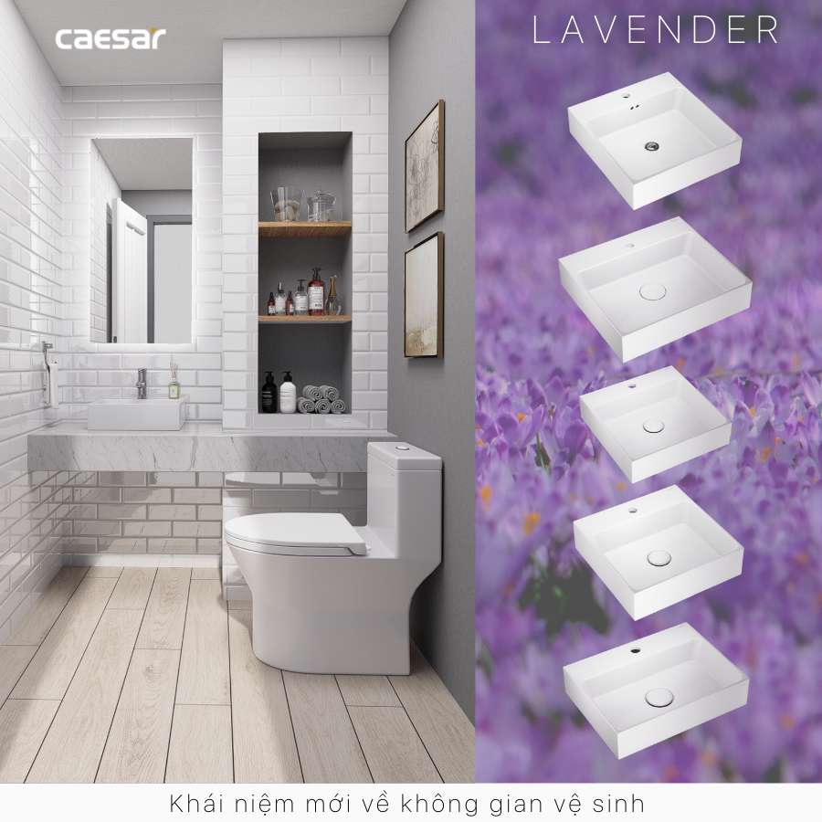 Chậu lavabo đặt bàn Caesar LF5257 - 14