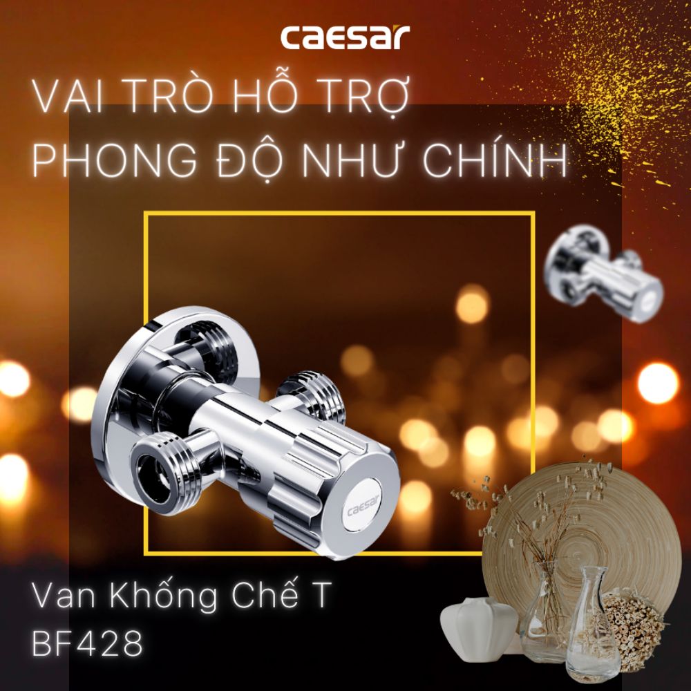 Van khóa nước chữ T Caesar BF428 - 2