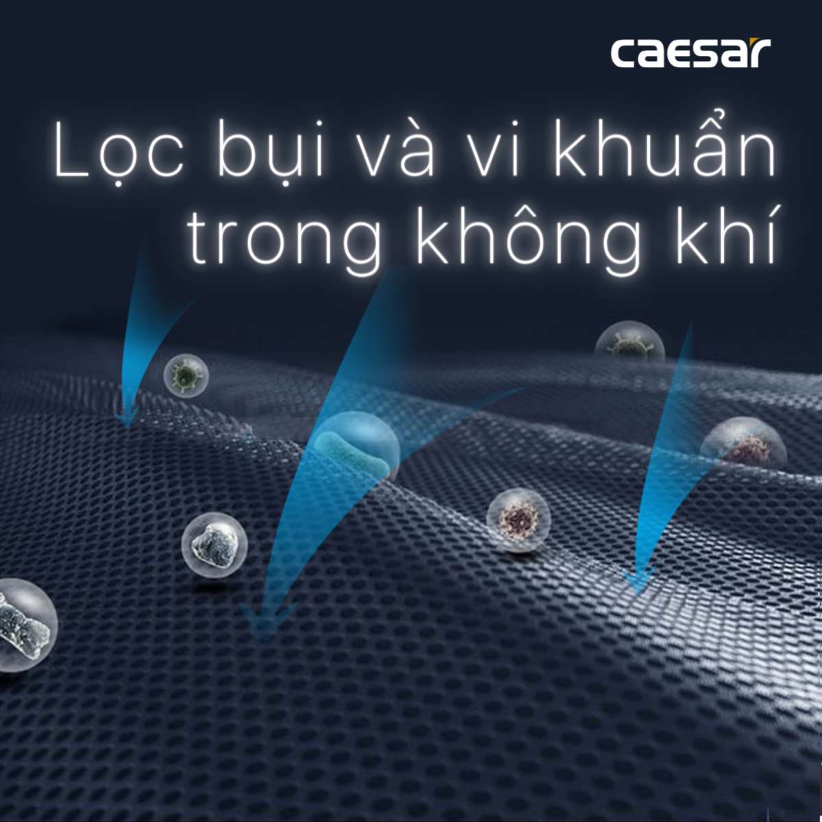 Máy sấy tay Caesar A801 - 11
