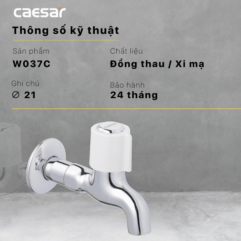 Vòi nước lạnh gắn tường Caesar W037C - 5