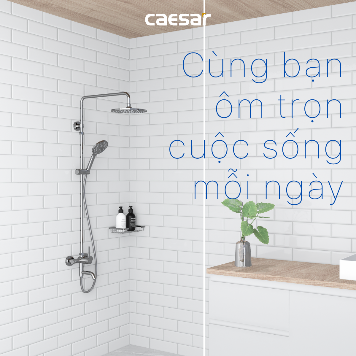 Bộ sen tắm cây nóng lạnh Caesar S338C - 15