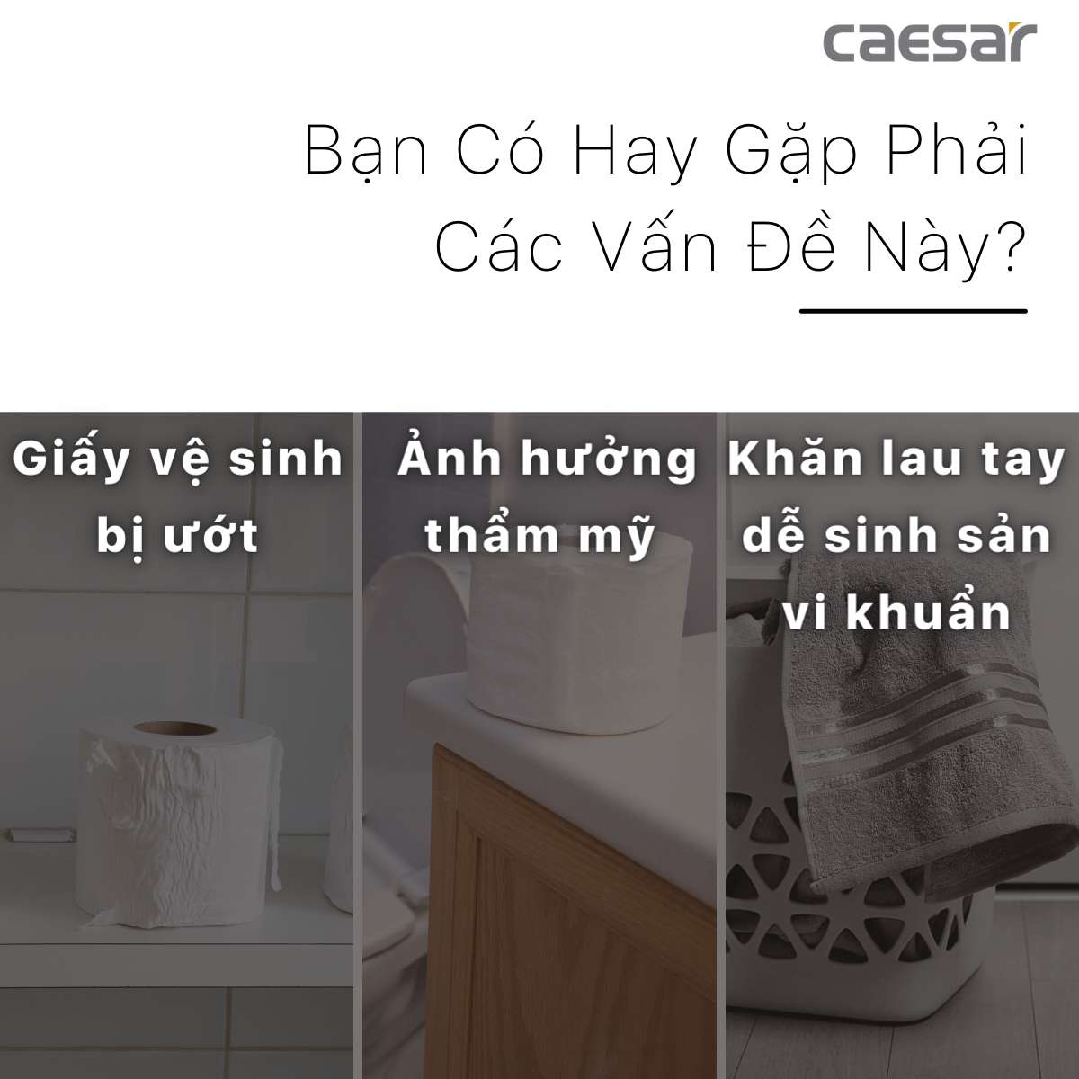 Hộp giấy vệ sinh inox Caesar ST127 - 9
