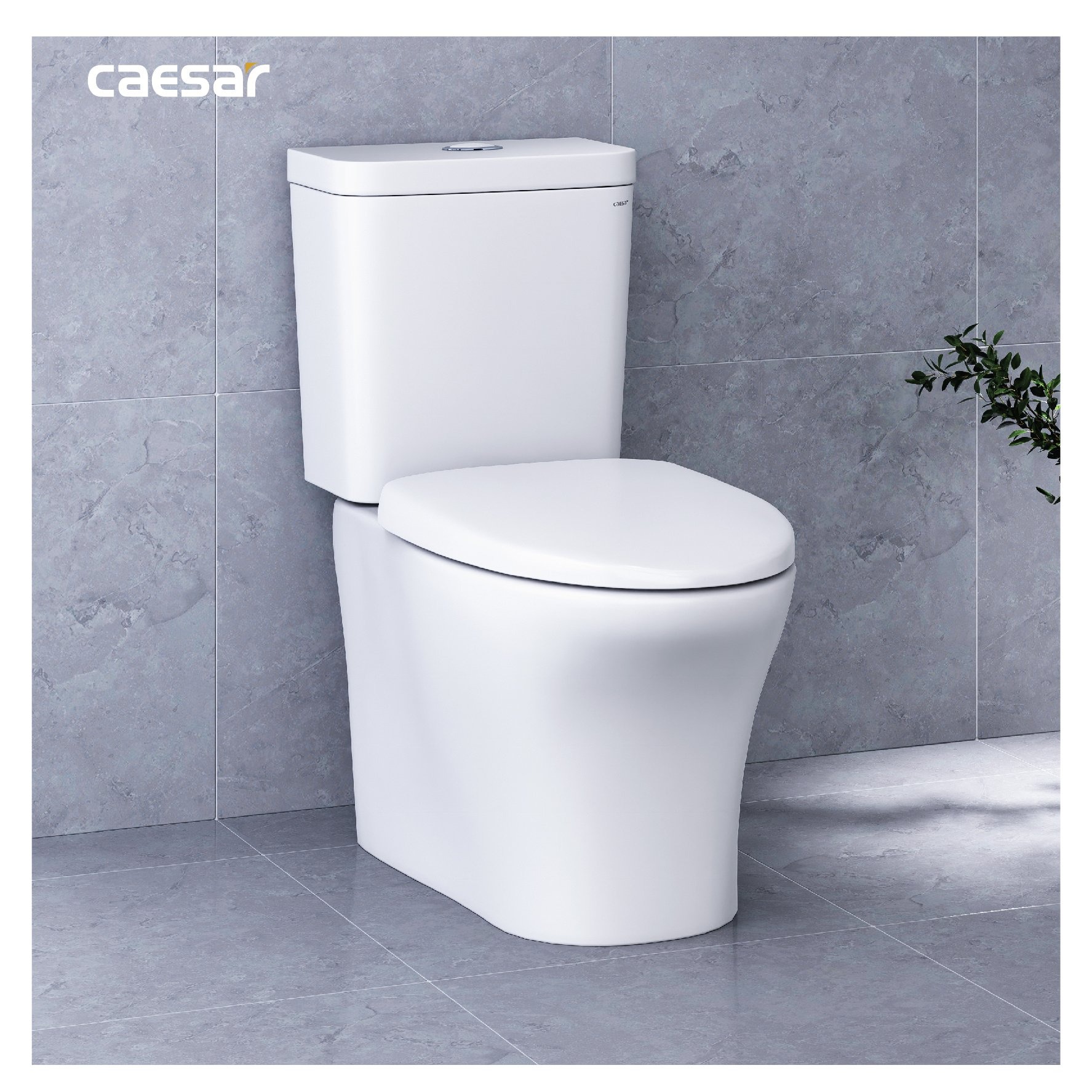 Bồn cầu 2 khối Caesar CD1341 nắp đóng êm - 13
