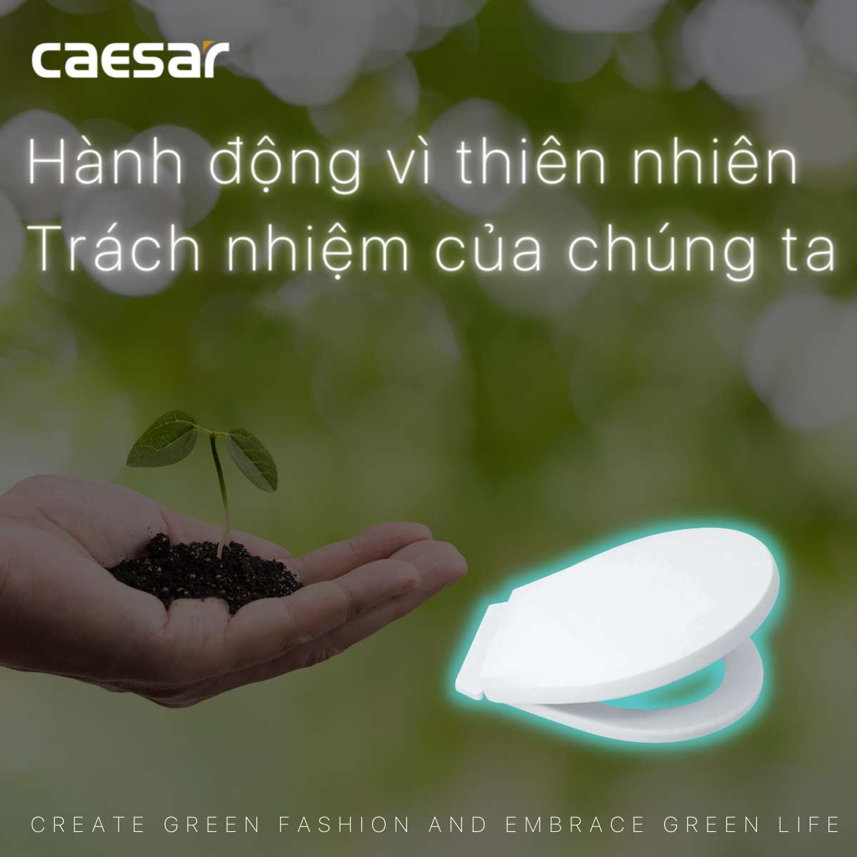 Nắp bồn cầu thường Caesar M284 - 10
