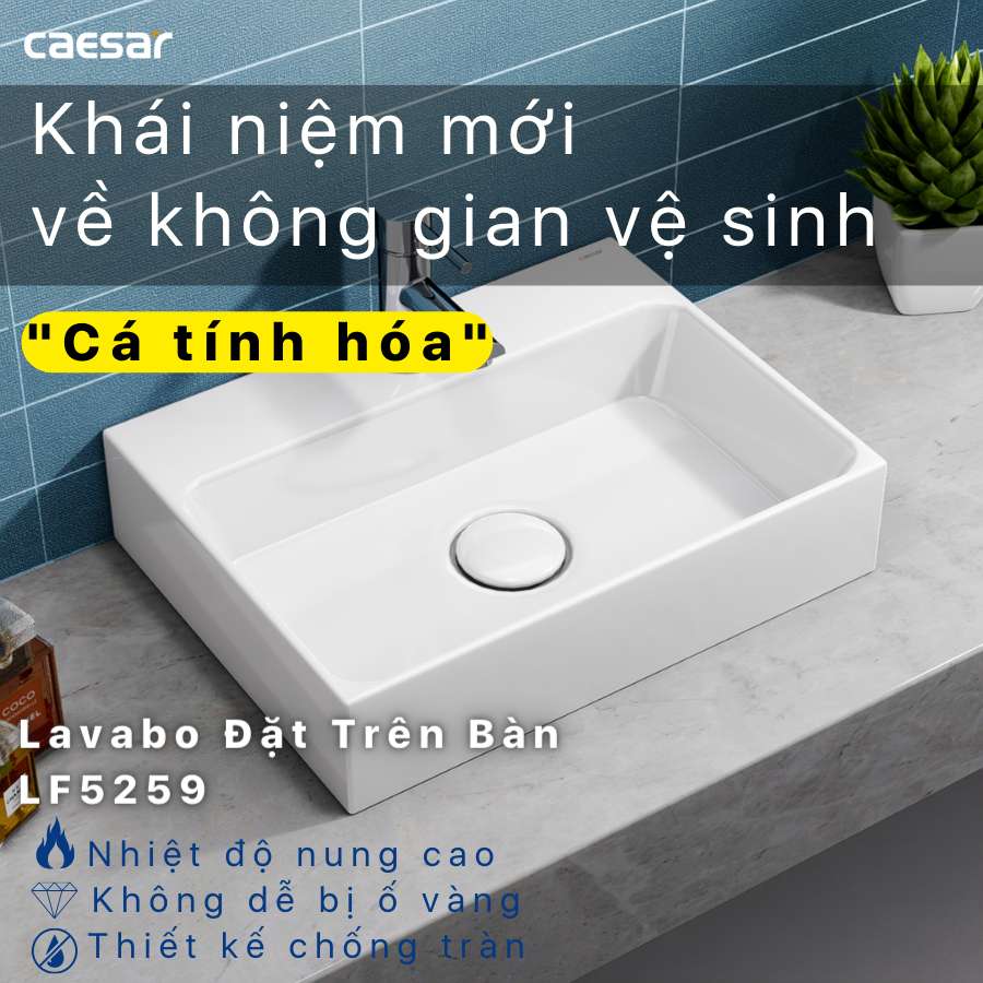 Chậu lavabo đặt bàn Caesar LF5259 - 3