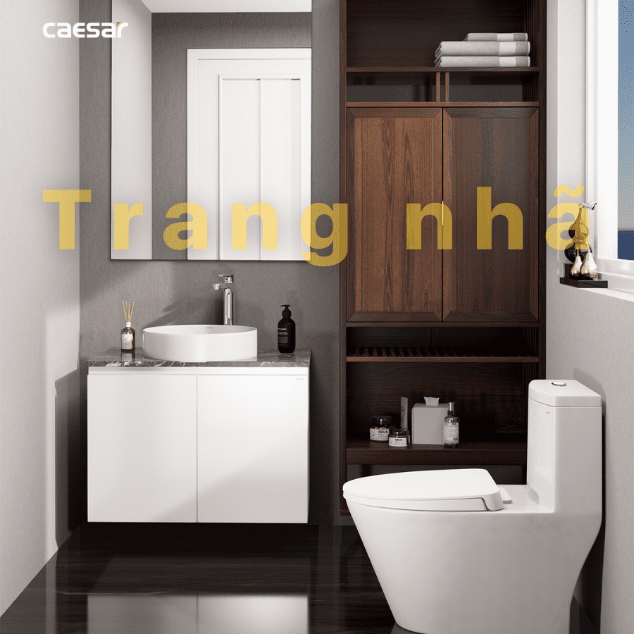 Chậu lavabo đặt bàn Caesar LF5258 - 26