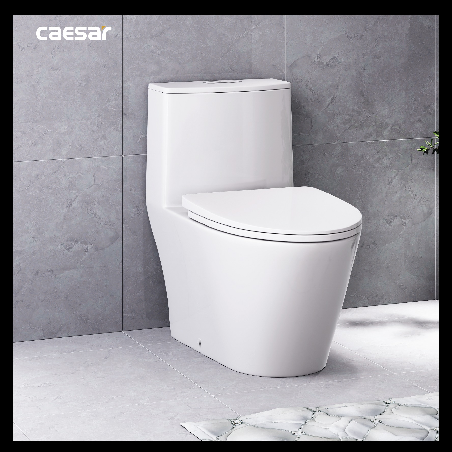 Bồn cầu 1 khối Caesar C1363 (CD1363) nắp đóng êm - 14