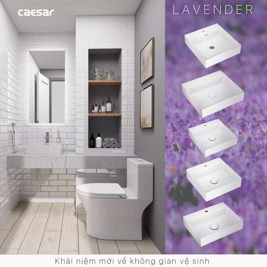 Chậu lavabo đặt bàn Caesar LF5263 - 14