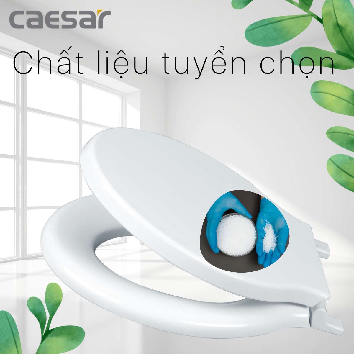 Nắp bồn cầu thường Caesar M282 - 6