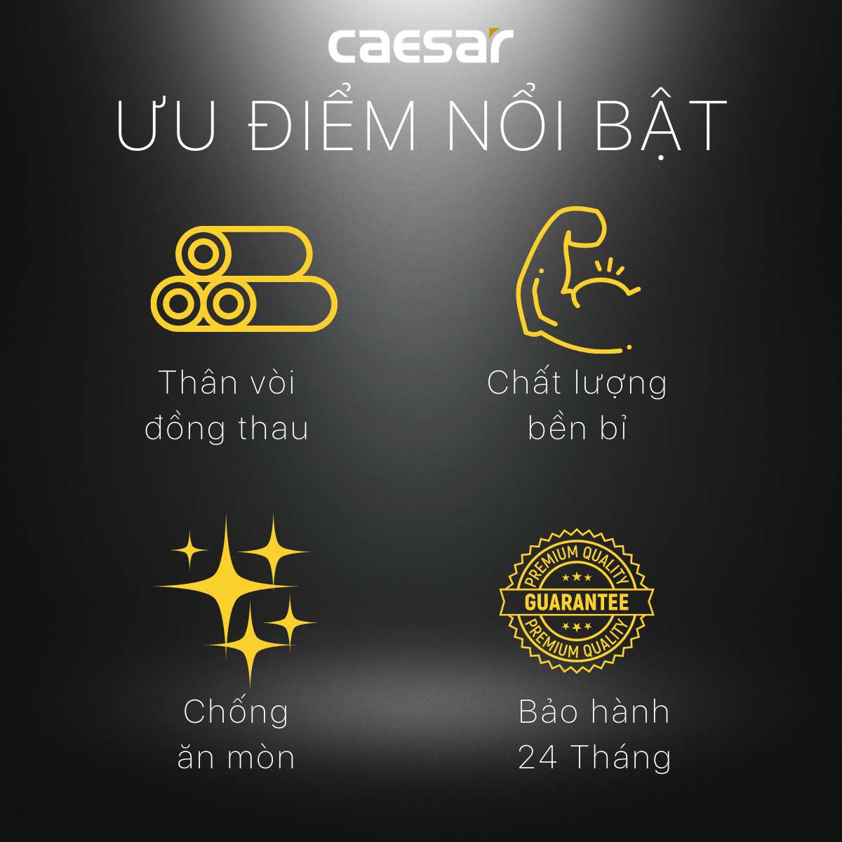 Van vặn khóa chữ F xi - φ21 Caesar BF403 - 5