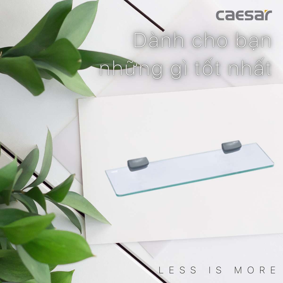 Kệ kính Caesar Q760V - 6