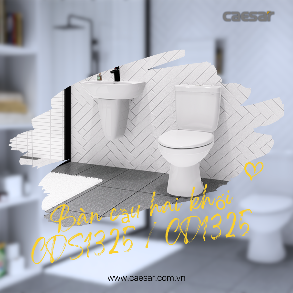Bồn cầu 2 khối Caesar CD1325 nắp thường - 8