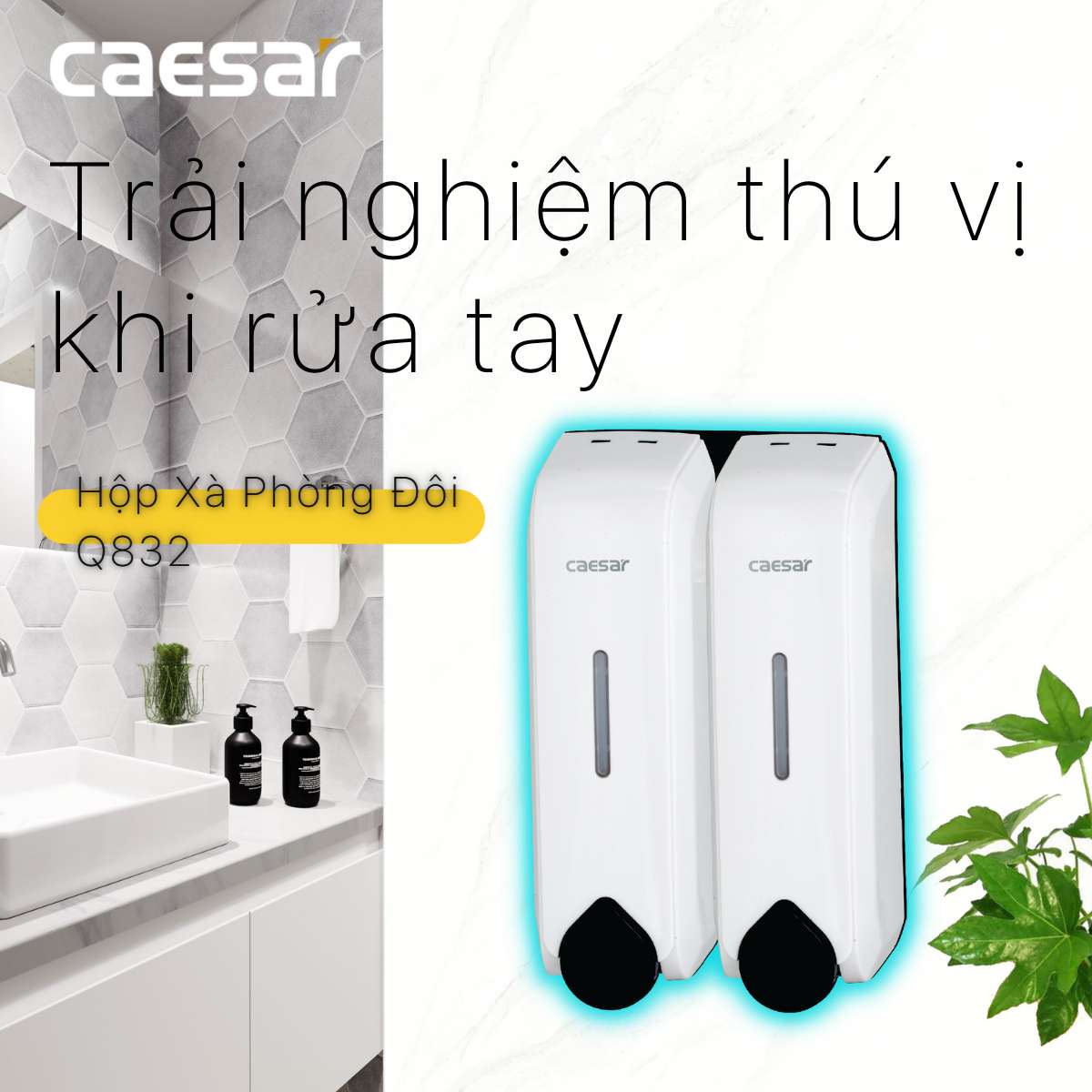 Hộp xà phòng đôi Caesar Q832 - 2