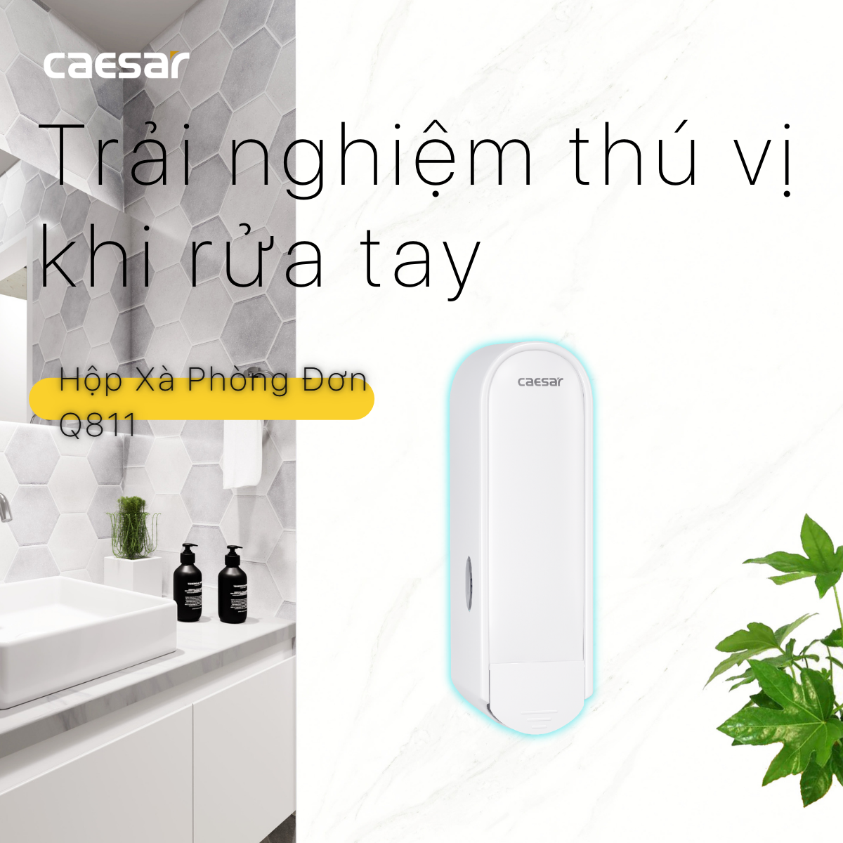 Hộp xà phòng đơn Caesar Q811 - 13