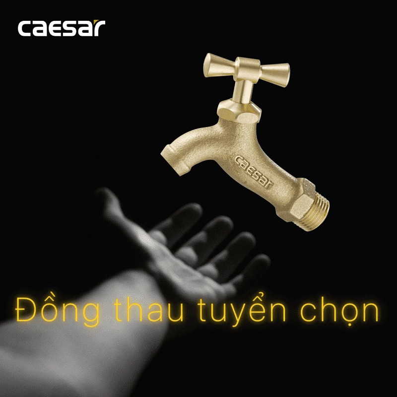 Vòi nước lạnh gắn tường Caesar W034 - 7