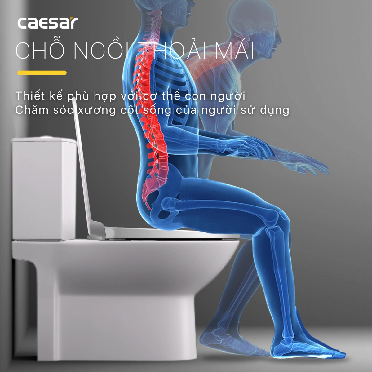 Bồn cầu 2 khối Caesar CD1340 nắp đóng êm - 8
