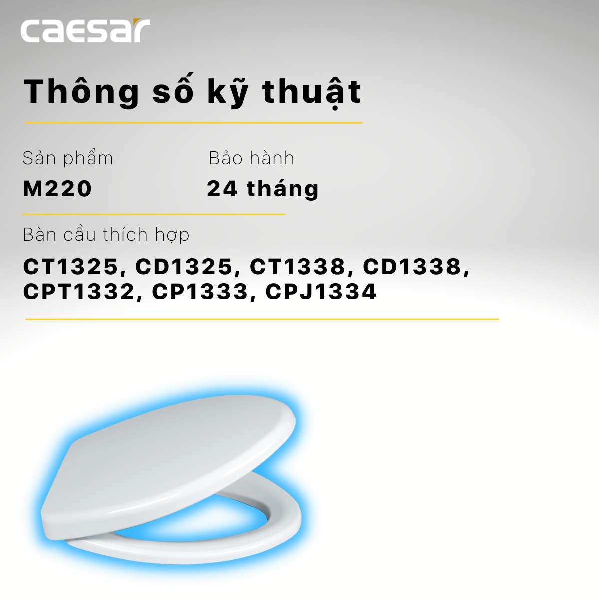 Nắp bồn cầu thường Caesar M220 - 9