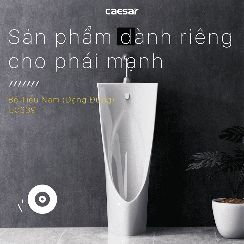 Bồn tiểu đứng thoát xuống sàn Caesar U0239 - 4