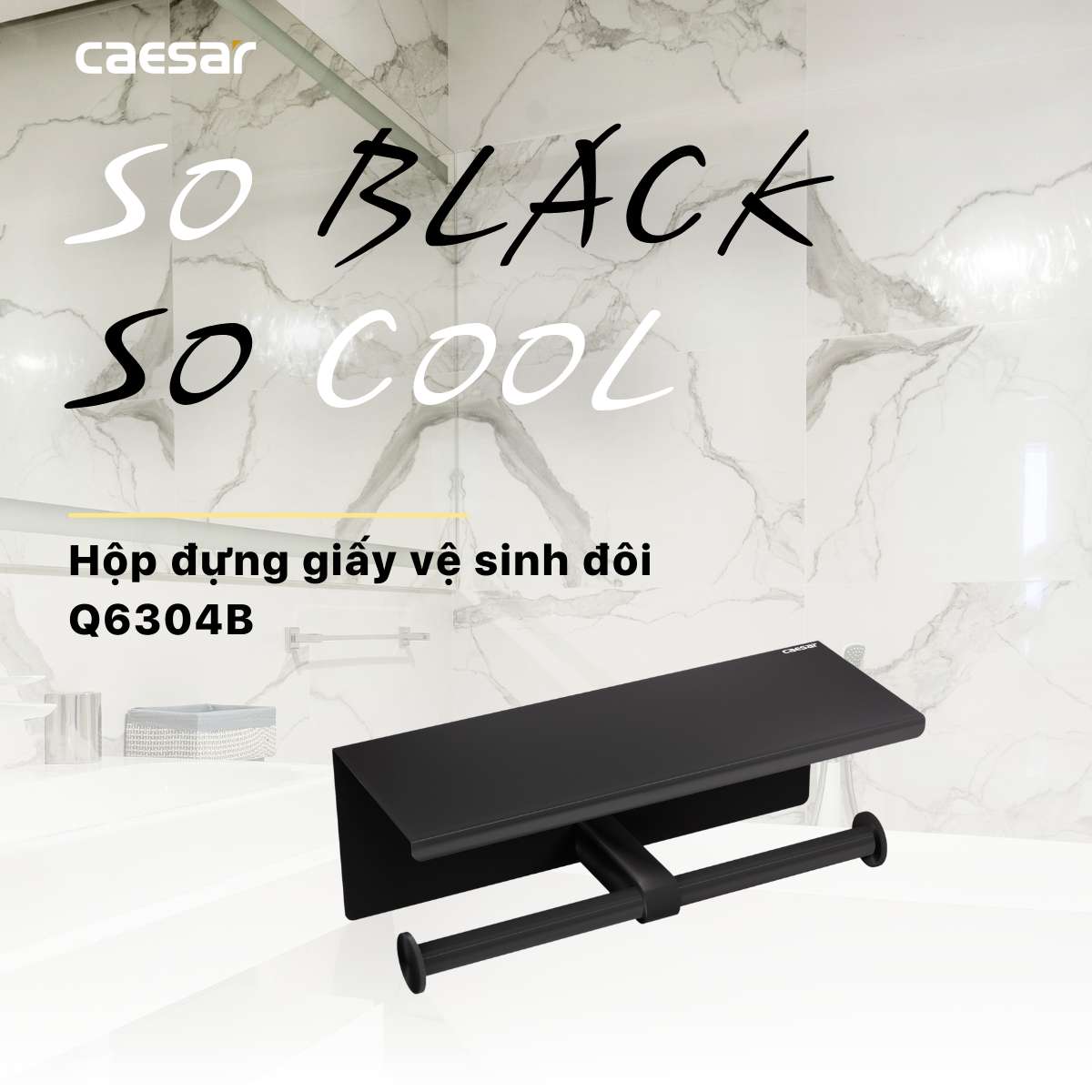 Móc giấy vệ sinh đôi Caesar Q6304B - 5