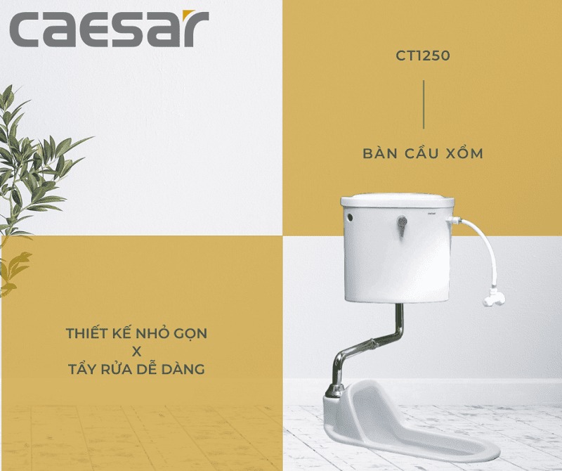 Bồn cầu xí xổm Caesar CT1250 - 3
