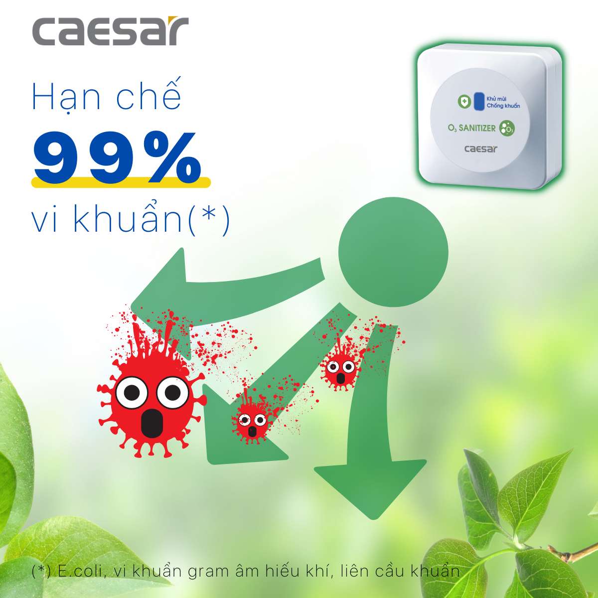 Máy tạo ozon Caesar A610OZ - 7
